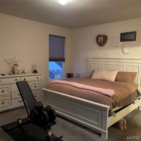 10 Scenic Bend, Festus, MO 63028