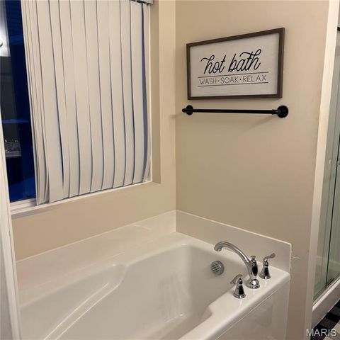 10 Scenic Bend, Festus, MO 63028