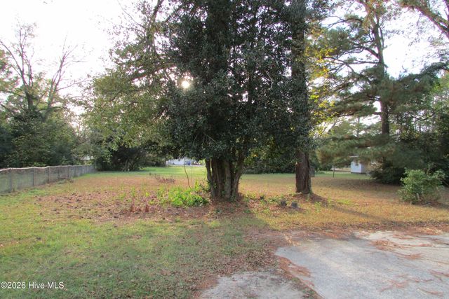 803 Mc Koy Street, Clinton, NC 28328