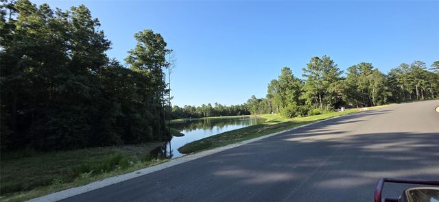 107 Romantic Dreams Ct Court, Huntsville, TX 77340
