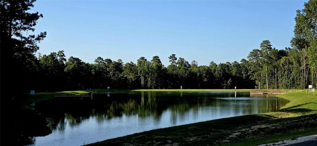 107 Romantic Dreams Ct Court, Huntsville, TX 77340