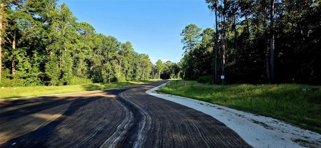 107 Romantic Dreams Ct Court, Huntsville, TX 77340