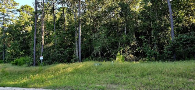107 Romantic Dreams Ct Court, Huntsville, TX 77340
