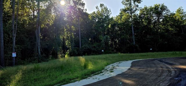 107 Romantic Dreams Ct Court, Huntsville, TX 77340