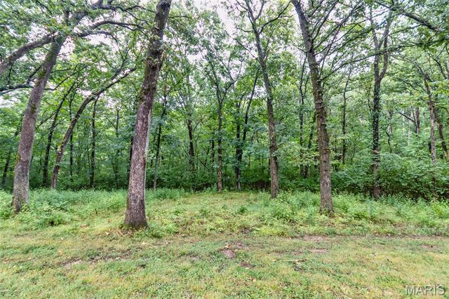100 Hickory Lane, Festus, MO 63028