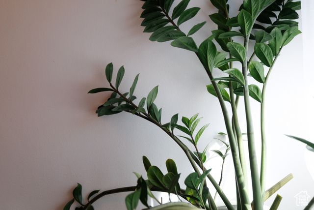 4656 WOODDUCK LN, Salt Lake City, UT 84117