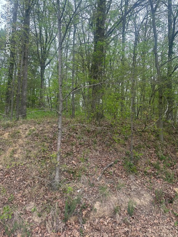 8768/8750 Bob White Drive, Hernando, MS 38632 — exterior