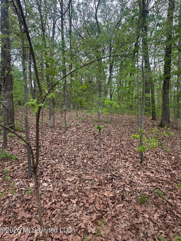 8768/8750 Bob White Drive, Hernando, MS 38632 — photo 2