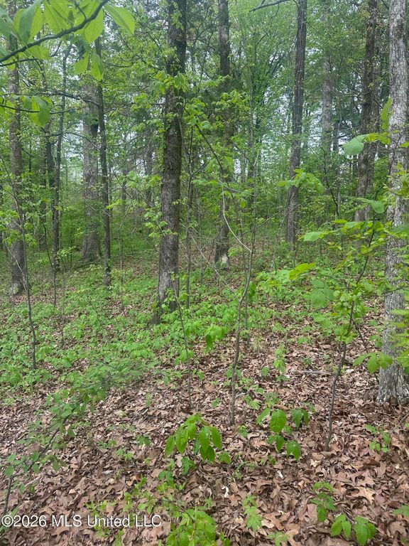 8768/8750 Bob White Drive, Hernando, MS 38632 — photo 3