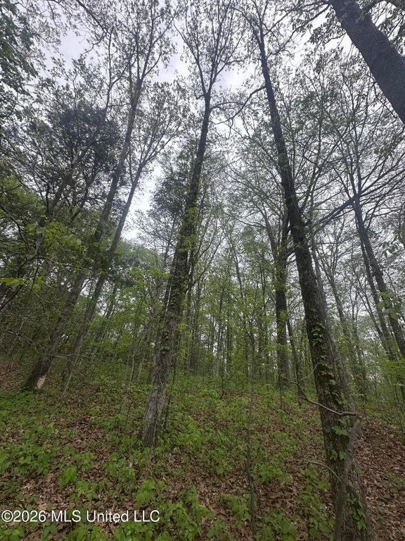 8768/8750 Bob White Drive, Hernando, MS 38632 — photo 4