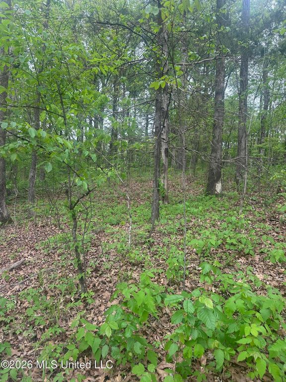 8768/8750 Bob White Drive, Hernando, MS 38632 — photo 5