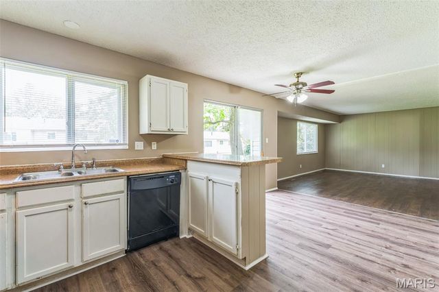 6250 Pennyrich Court, Florissant, MO 63033