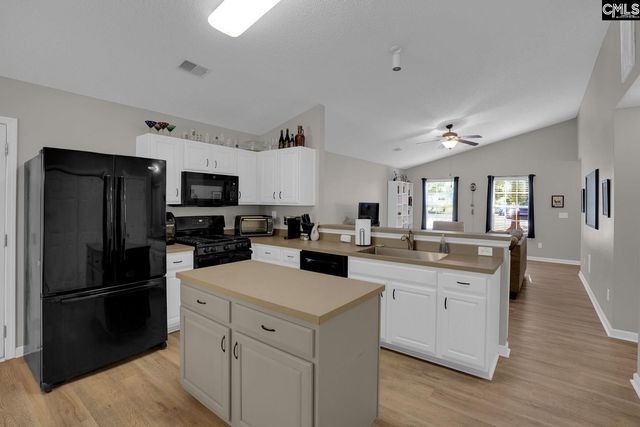 559 Foxstone Drive, Chapin, SC 29036