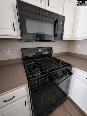 559 Foxstone Drive, Chapin, SC 29036