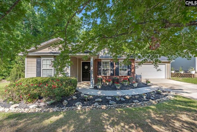 559 Foxstone Drive, Chapin, SC 29036