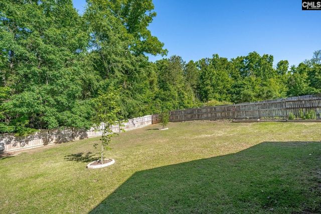 559 Foxstone Drive, Chapin, SC 29036