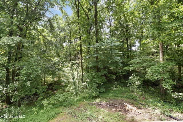 11423 High Road, Hernando, MS 38632