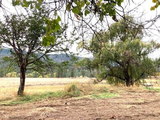 3277 A ORIENT CUTOFFF Rd, Kettle Falls, WA 99141