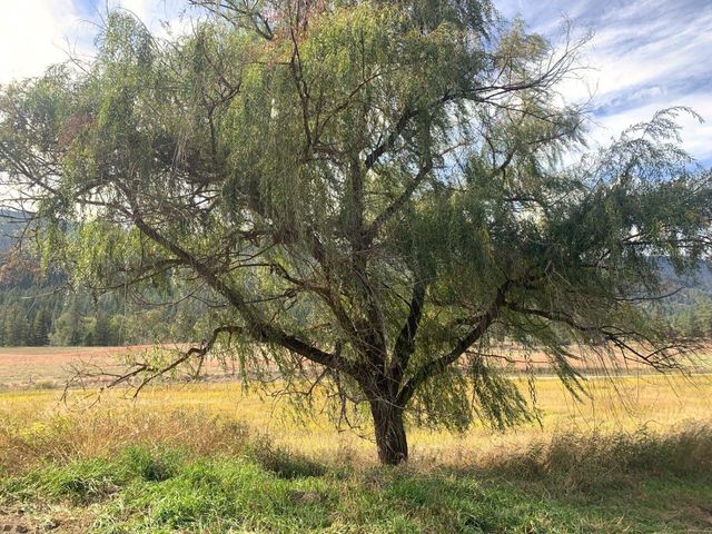 3277 A ORIENT CUTOFFF Rd, Kettle Falls, WA 99141