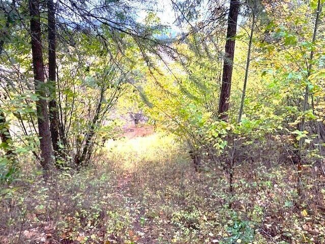 3277 A ORIENT CUTOFFF Rd, Kettle Falls, WA 99141