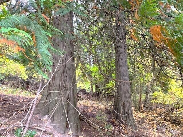 3277 A ORIENT CUTOFFF Rd, Kettle Falls, WA 99141