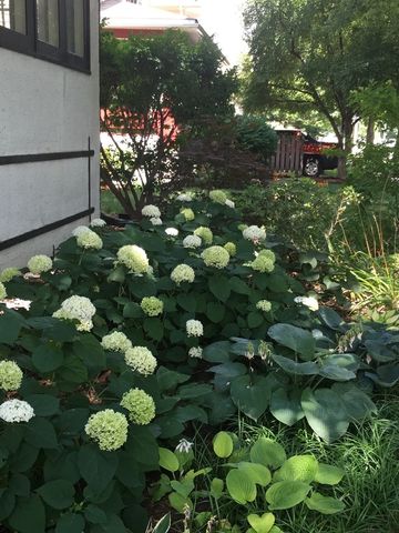 733 S Oak Park Avenue, Oak Park, IL 60304