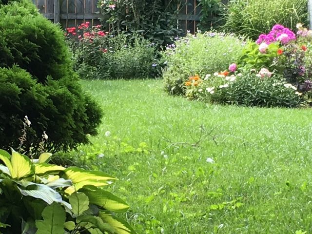 733 S Oak Park Avenue, Oak Park, IL 60304