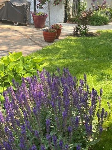 733 S Oak Park Avenue, Oak Park, IL 60304