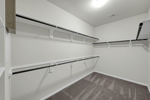 30119 Saw Oaks Drive, Magnolia, TX 77355