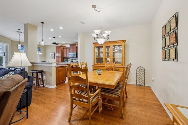 12606 RIVER BIRCH DRIVE, Riverview, FL 33569