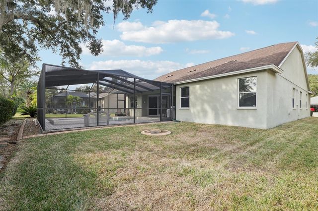 12606 RIVER BIRCH DRIVE, Riverview, FL 33569