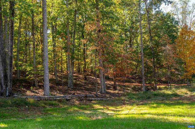 7337-B DICK WOODS RD, Afton, VA 22920