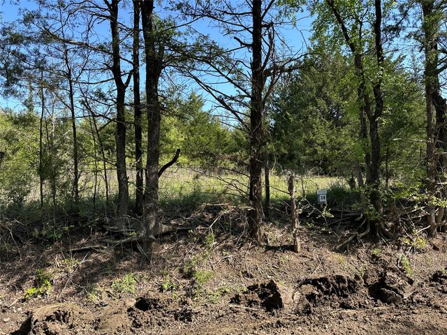 Tract 14 County Road 2951, Honey Grove, TX 75446