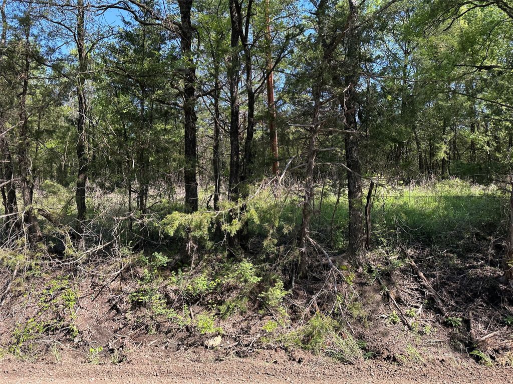 Tract 14 County Road 2951, Honey Grove, TX 75446