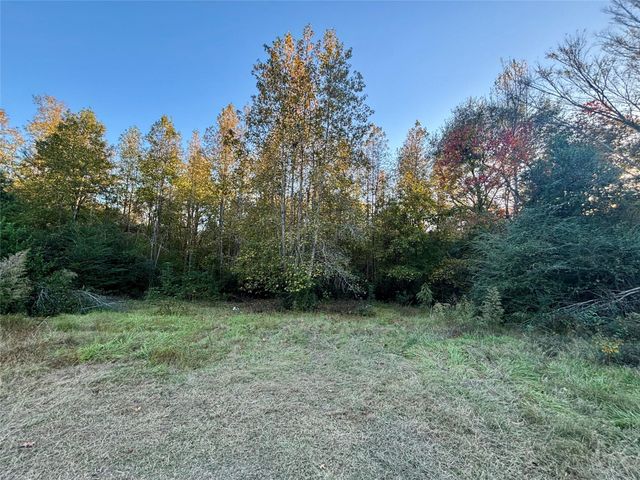 509 County Road 1015, Woodville, TX 75979