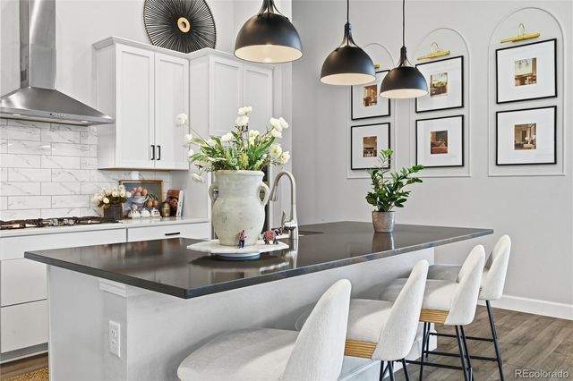 3208 Carabiner Street, Castle Rock, CO 80108