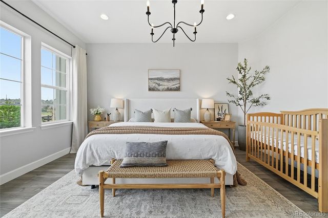 3208 Carabiner Street, Castle Rock, CO 80108