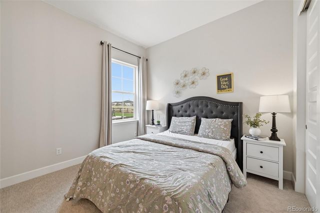 3208 Carabiner Street, Castle Rock, CO 80108