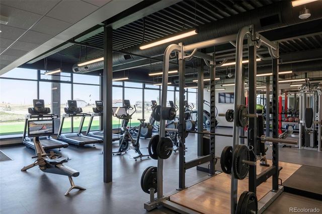 3208 Carabiner Street, Castle Rock, CO 80108