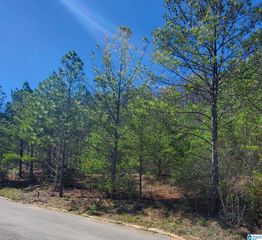 5916 HIGH FOREST DRIVE, Mccalla, AL 35111