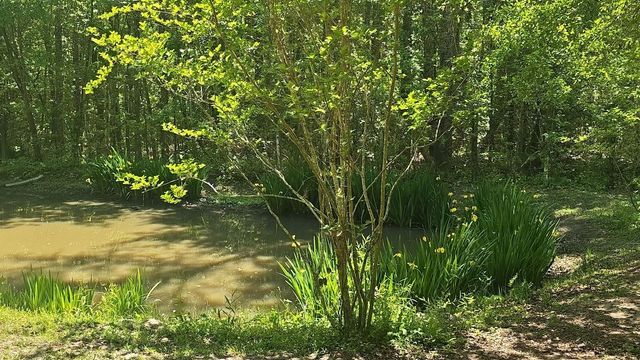 793 Finlay Lane, Cottageville, SC 29435