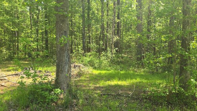 793 Finlay Lane, Cottageville, SC 29435