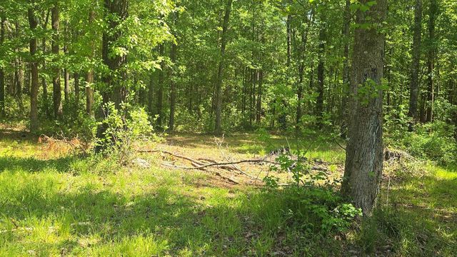 793 Finlay Lane, Cottageville, SC 29435