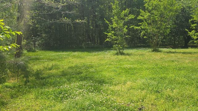 793 Finlay Lane, Cottageville, SC 29435