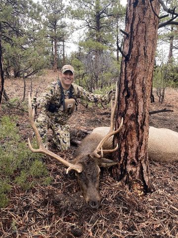 6245 McGee Lane, Helena, MT 59602