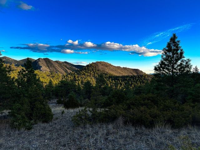 6245 McGee Lane, Helena, MT 59602