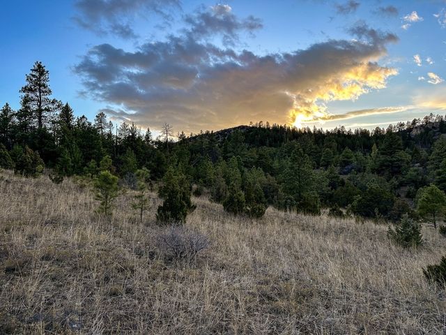 6245 McGee Lane, Helena, MT 59602