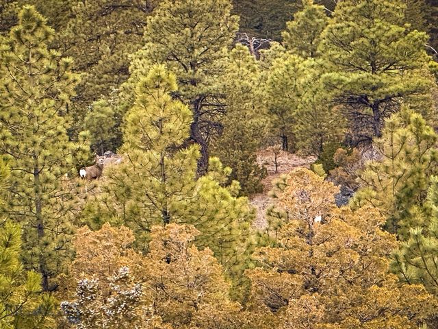 6245 McGee Lane, Helena, MT 59602