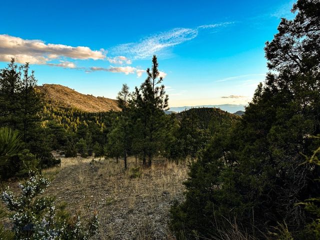 6245 McGee Lane, Helena, MT 59602