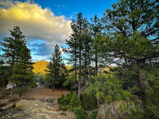 6245 McGee Lane, Helena, MT 59602